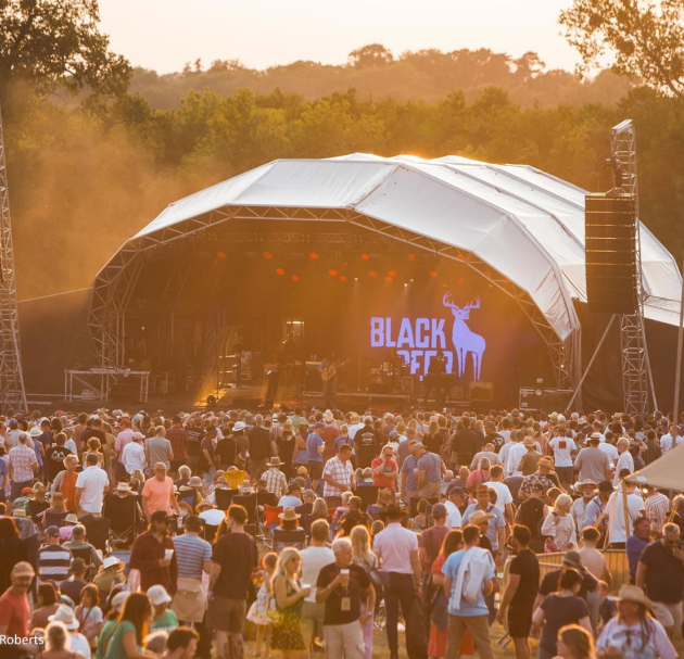 image of black deer festival